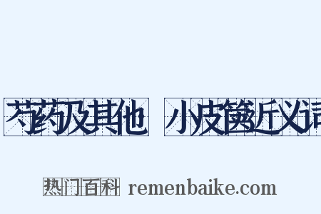 芍药及其他·小皮箧近义词是什么意思的图片